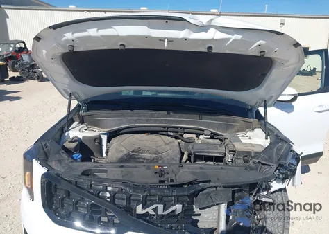 2024 Kia Telluride Sx X-Pro from USA, damaged, VIN 5XYP5DGC5RG496184